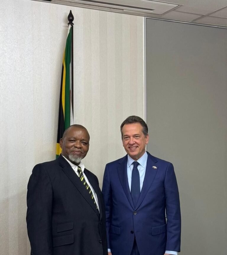 Gobierno dominicano explora cooperación con Sudáfrica para desarrollo de tierras raras en República Dominicana